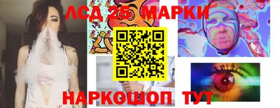 шишки Сланцы